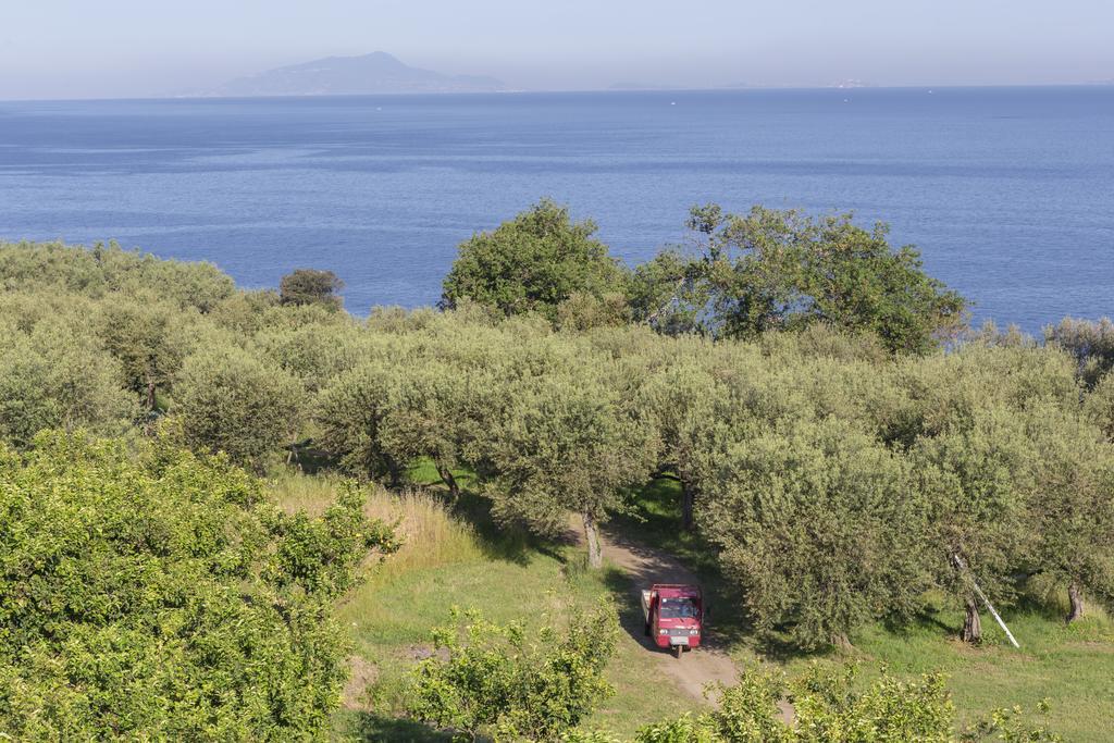 Relais Regina Giovanna Sorrento Eksteriør billede