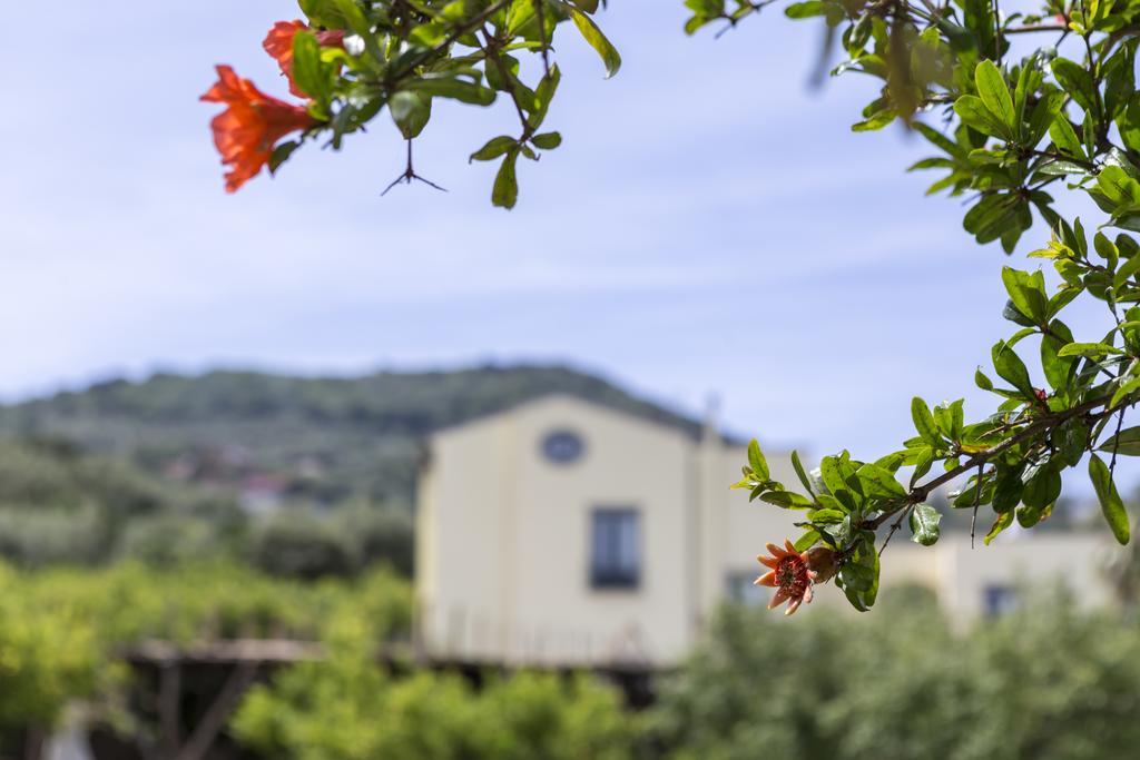 Relais Regina Giovanna Sorrento Eksteriør billede