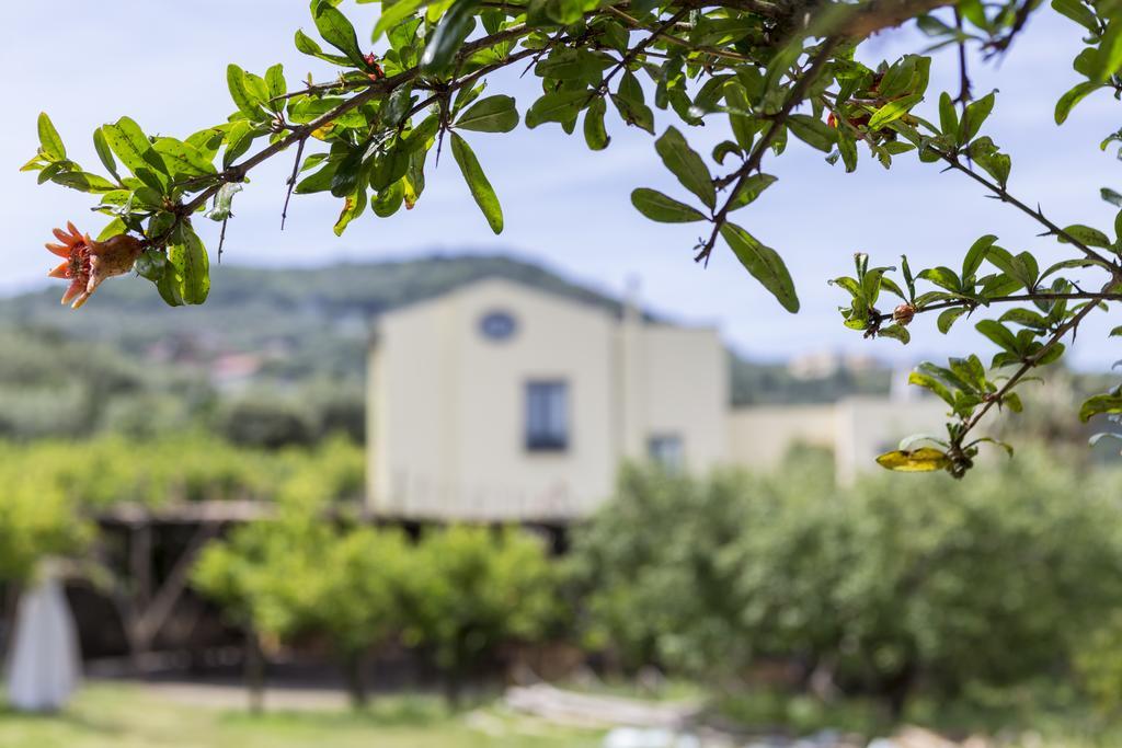 Relais Regina Giovanna Sorrento Eksteriør billede